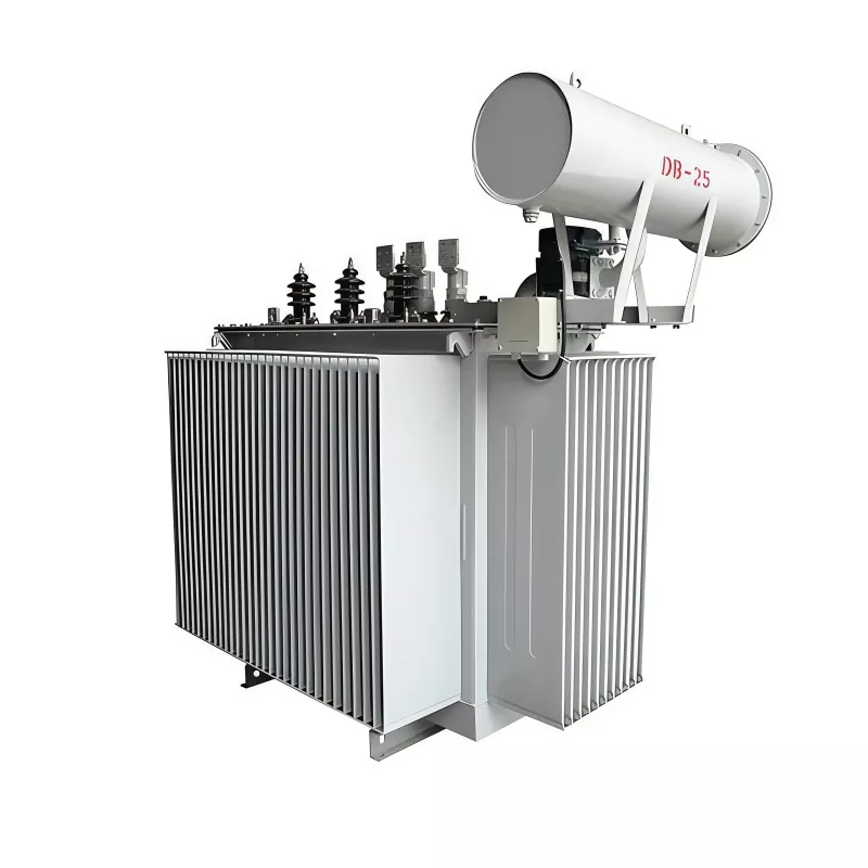 800KVA 35KV trojfázový distribučný transformátor ponorený do oleja