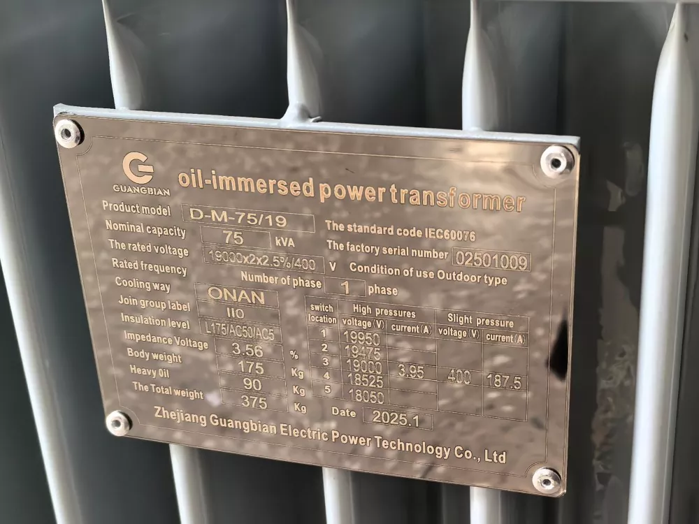 Replacement Oil Immersed Transformer